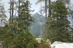 IMG 3171