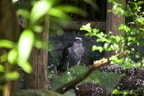 IMG 4818